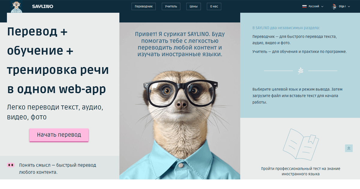 Как я разрабатываю SAYLINO